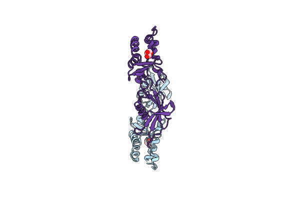 4A3O image