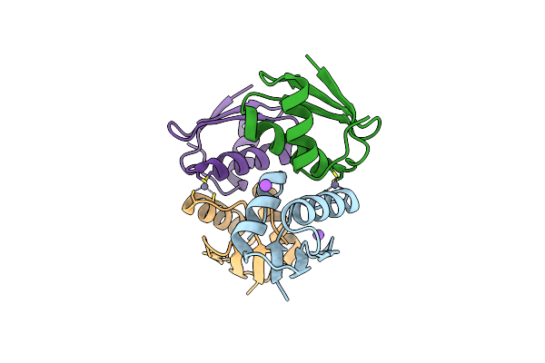 4A46 image