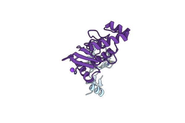 4A49 image