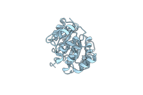 4A4D image