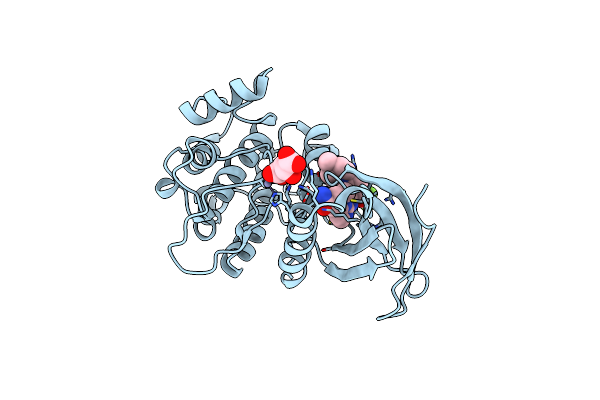 4A4L image