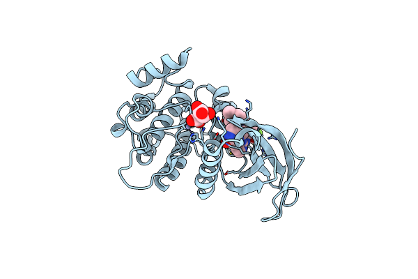 4A4O image