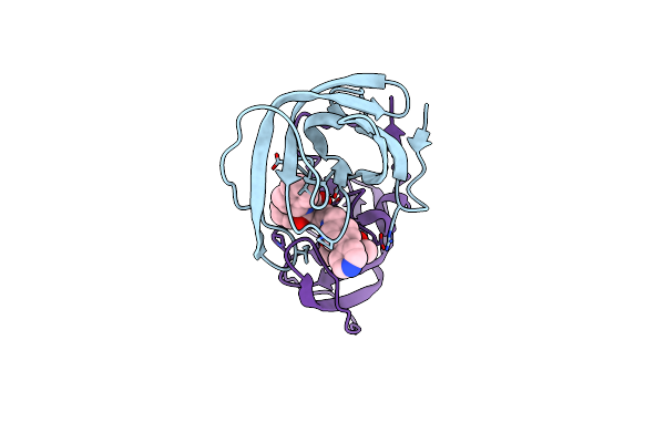 4A4Q image