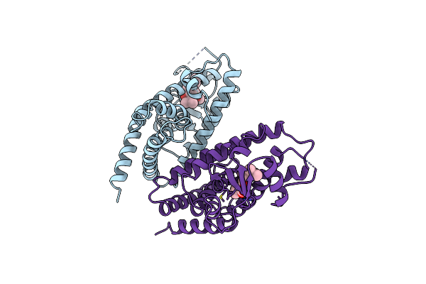 4A4V image