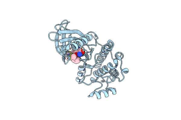 4A4X image