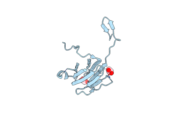 4A4Y image