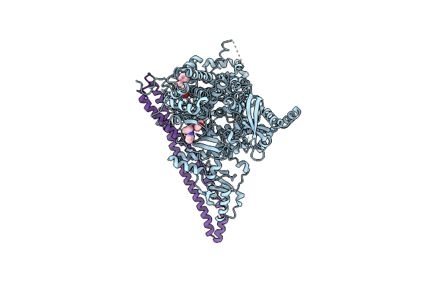 4A55 image
