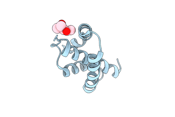 4A56 image