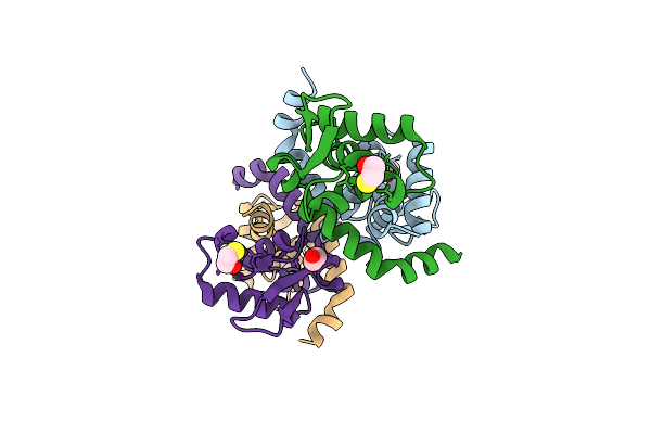 4A5N image