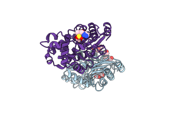 4A5R image