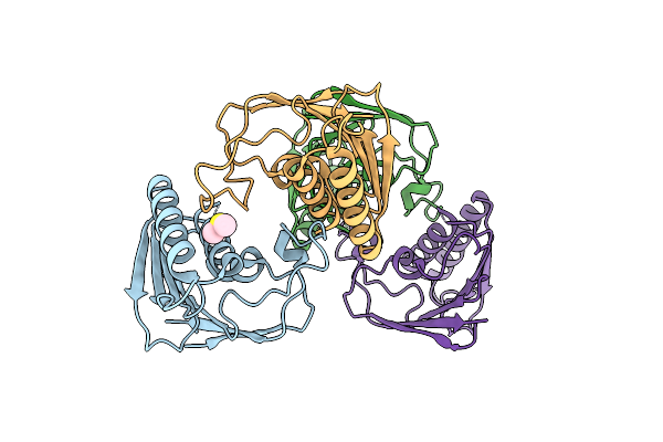 4A5Z image