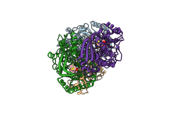 4A6G image