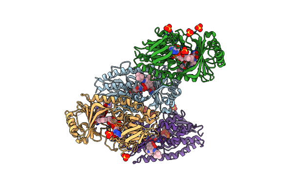 4A6N image