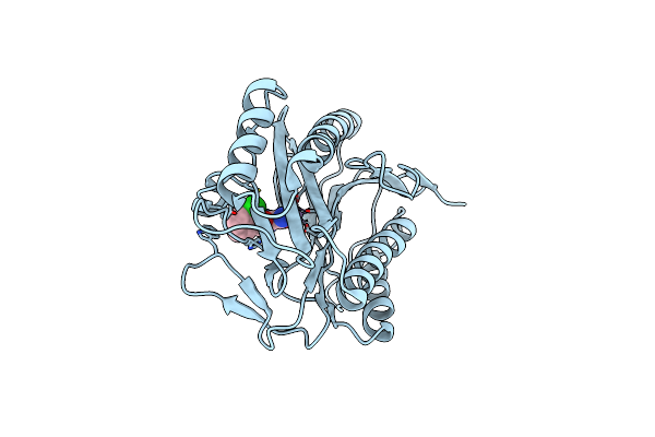4A6W image