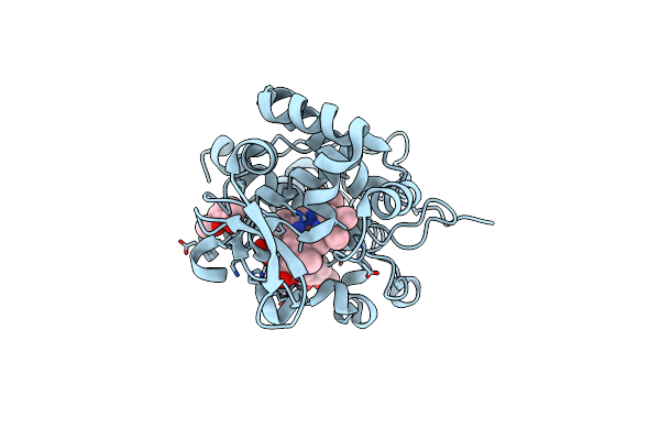 4A6Z image