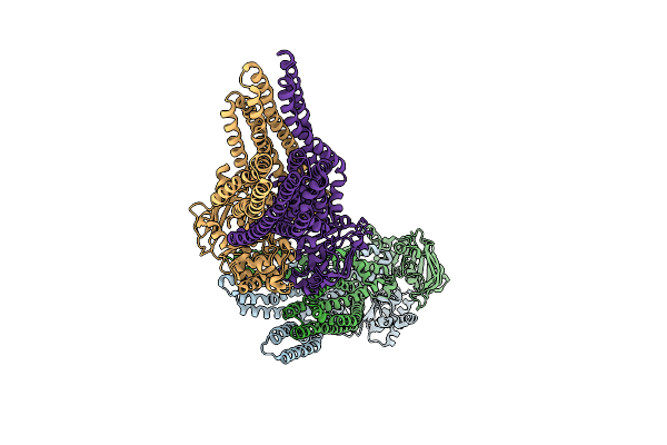 4A82 image
