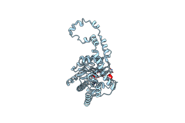 4A8N image