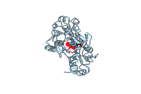4A8T image