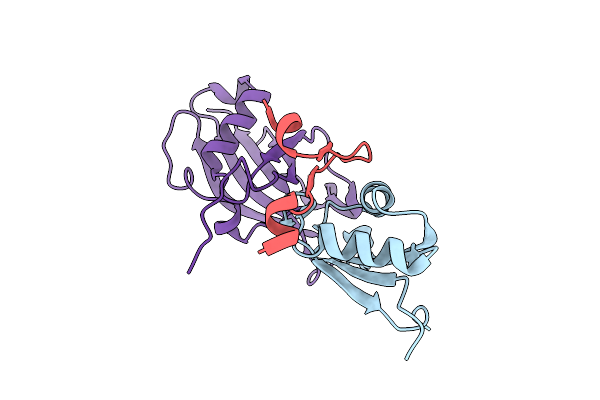 4A8X image