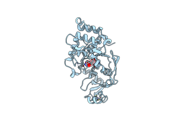 4A91 image