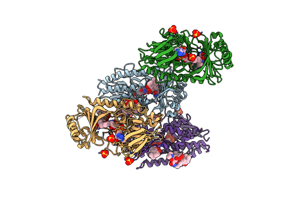 4A99 image