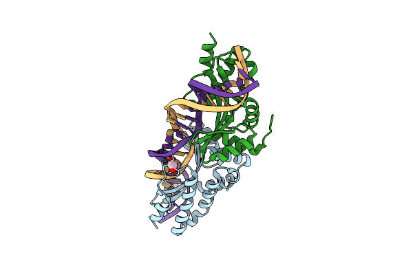 4AAF image