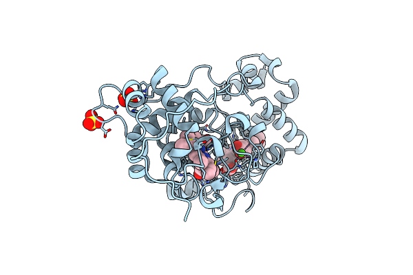 4AAM image