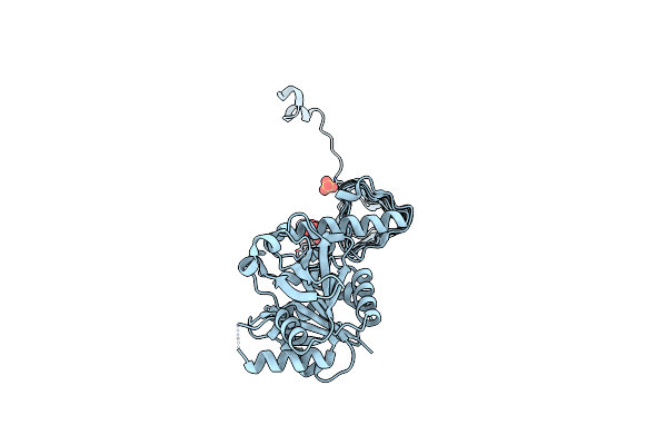 4AAW image