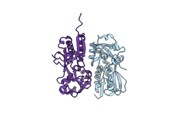 4AB5 image
