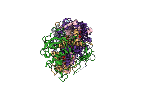 4AC5 image