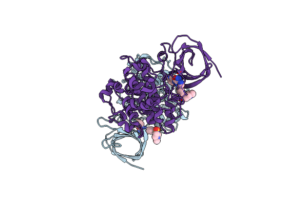 4ACD image