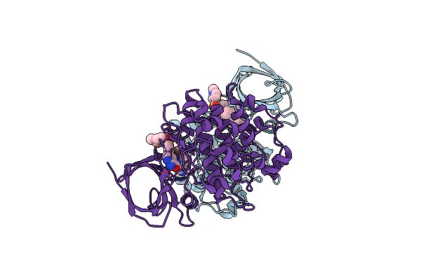 4ACG image
