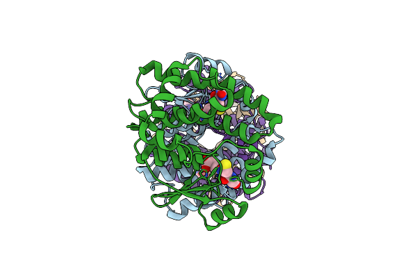 4ACS image