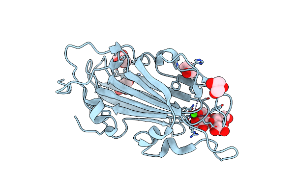 4AF9 image