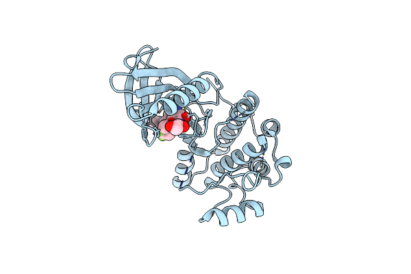 4AFE image