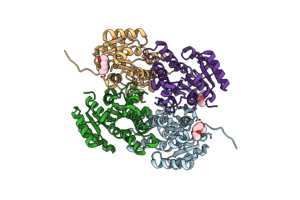 4AFN image