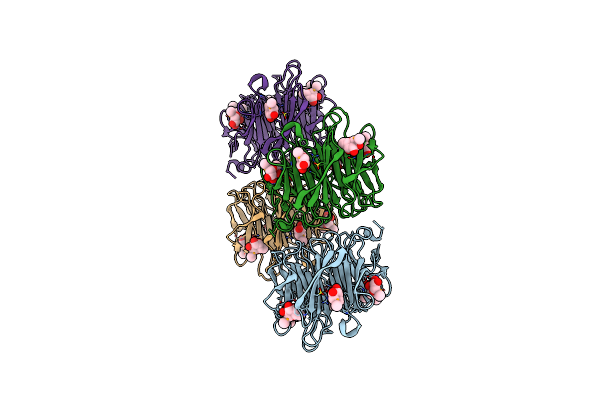 4AGI image