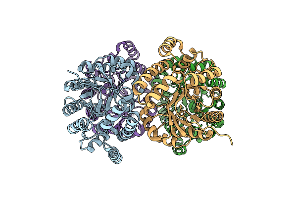 4AHP image