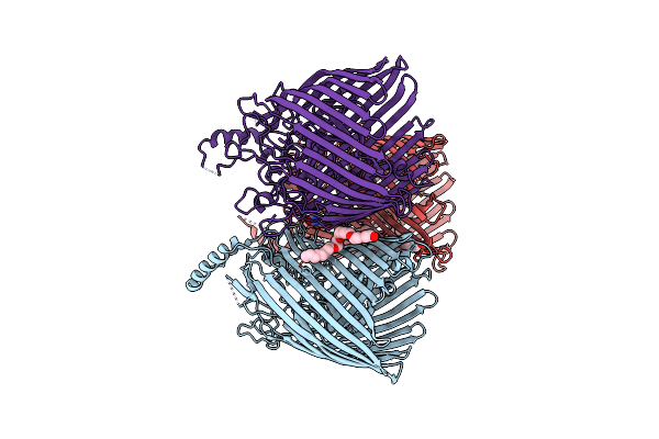 4AIP image