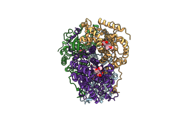 4AJI image