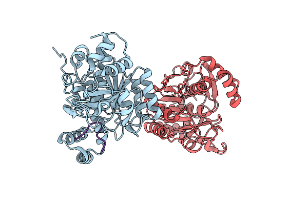 4AKT image
