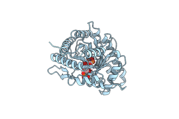 4ALD image