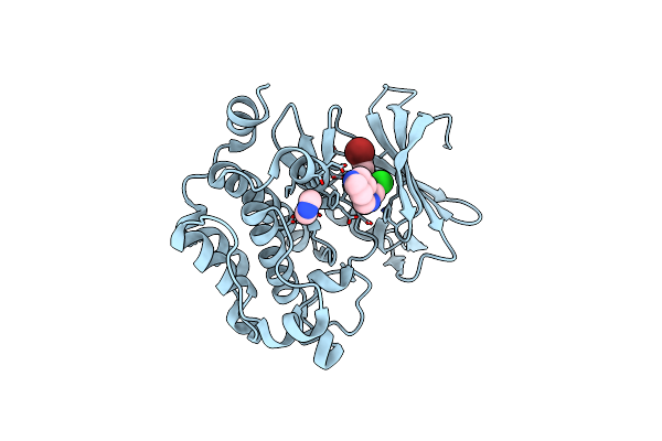 4ALV image
