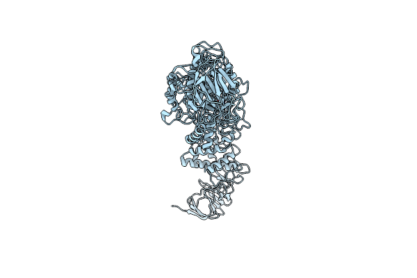 4AMC image