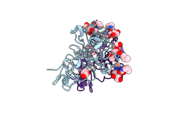 4AML image