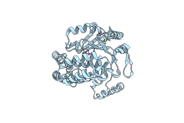 4AMQ image