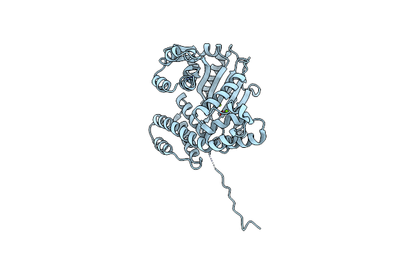 4AMS image