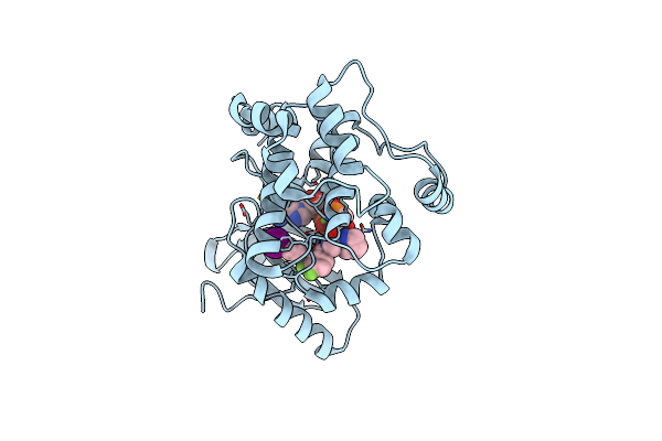 4AN2 image