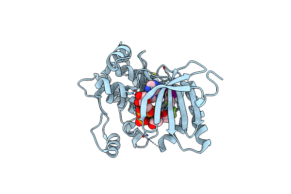 4AN3 image