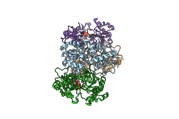 4AN4 image